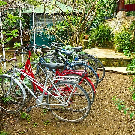 ゲストハウス Dostlar テキロヴァ