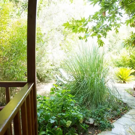 ゲストハウス Dostlar テキロヴァ