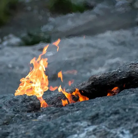 Dostlar テキロヴァ