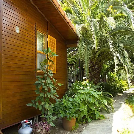 ゲストハウス Dostlar