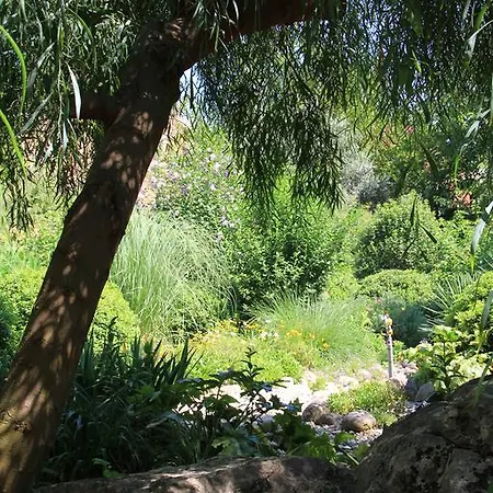 Dostlar * טקירובה